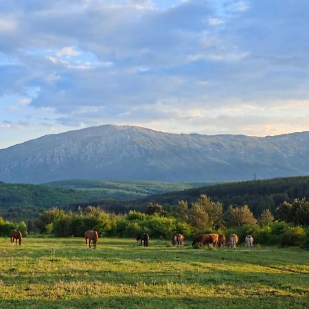 Ranc Crna Stina Villa Livno Luaran gambar