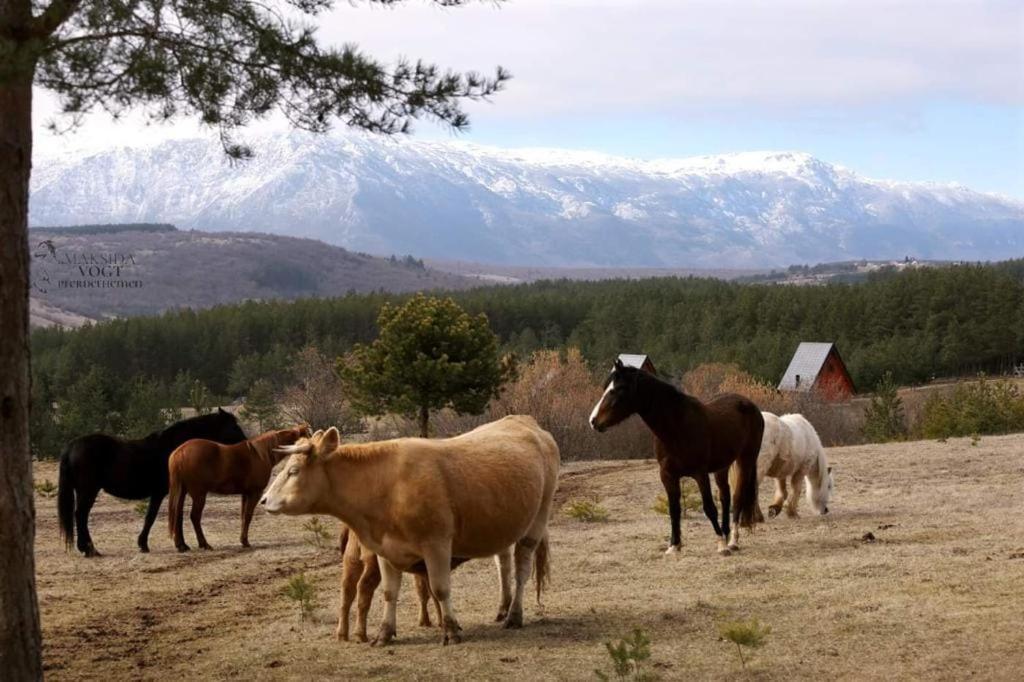 Ranc Crna Stina Villa Livno Luaran gambar