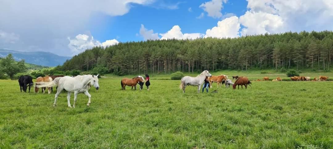 Ranc Crna Stina Villa Livno Luaran gambar