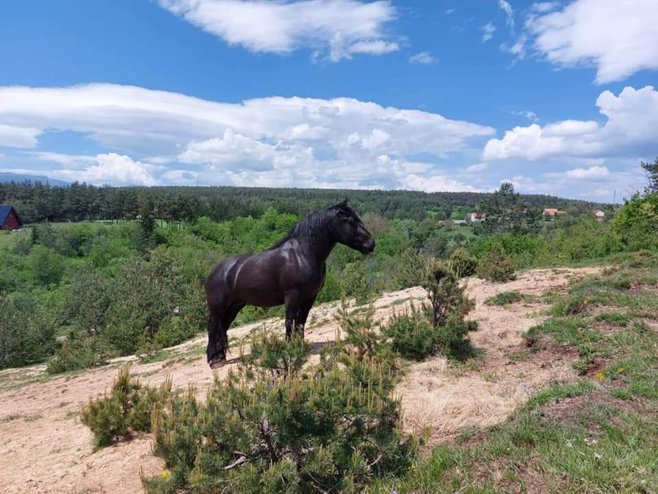 Ranc Crna Stina Villa Livno Luaran gambar