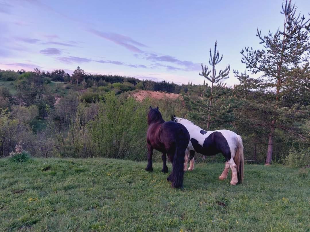 Ranc Crna Stina Villa Livno Luaran gambar