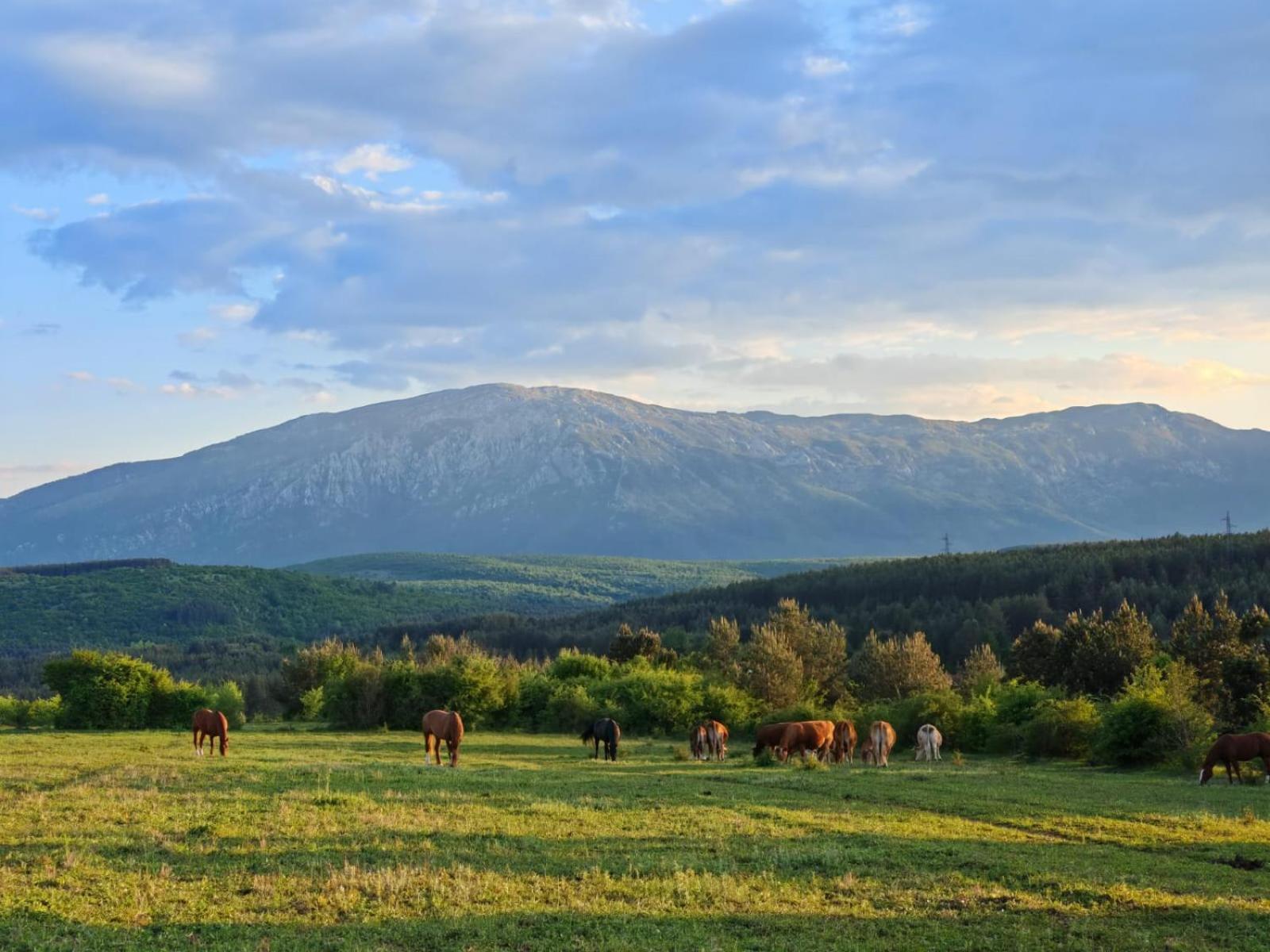 Ranc Crna Stina Villa Livno Luaran gambar
